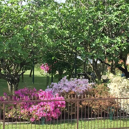 Frühstückspension Mariposa *