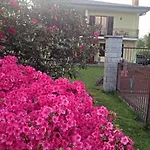 Bed & Breakfast Mariposa