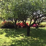 Mariposa Bed & Breakfast