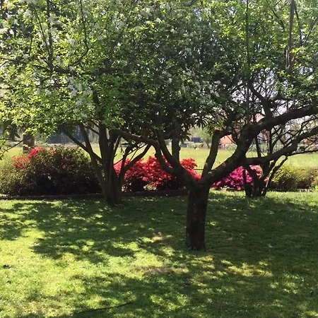 Mariposa Couette-café