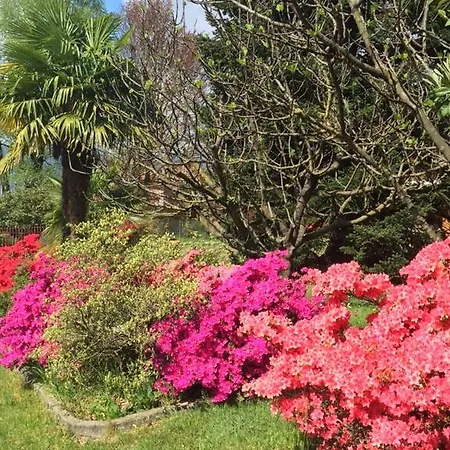 Mariposa Bed & Breakfast *