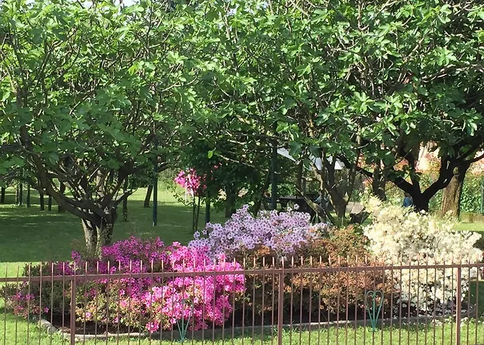 Bed & Breakfast Mariposa *