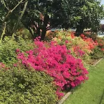 Mariposa 住宿加早餐酒店 *