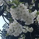 住宿加早餐酒店 Mariposa Monvalle